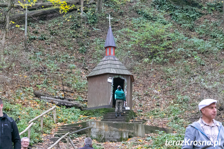 Otwarcie wieży widokowej na Górze Cergowa