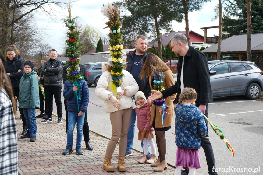 Parada palm w Zręcinie