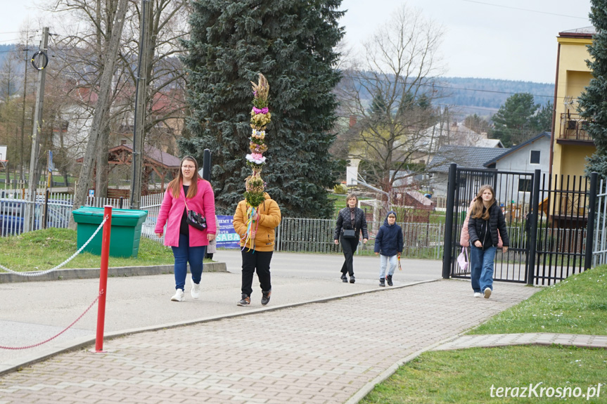 Parada palm w Zręcinie