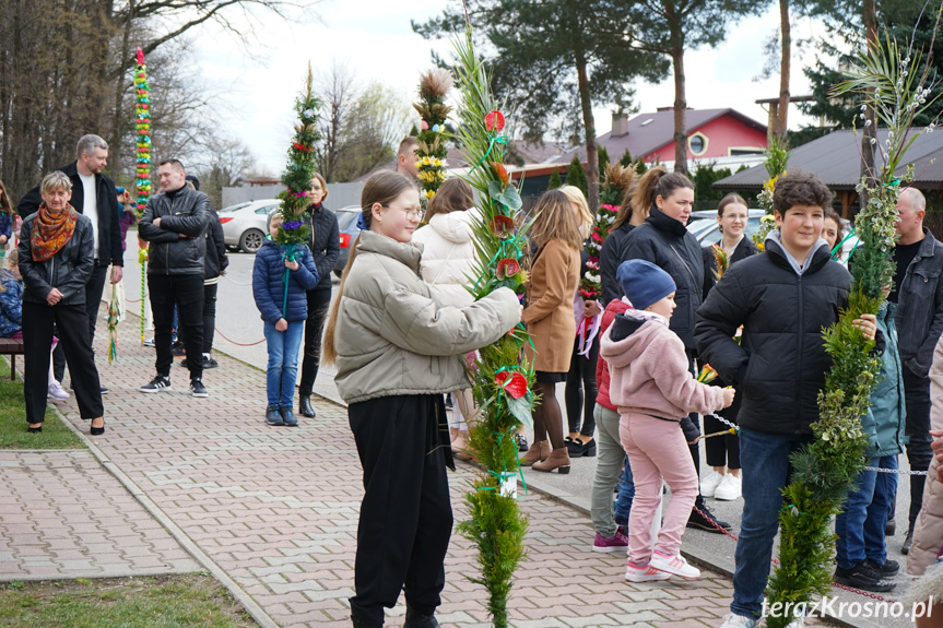 Parada palm w Zręcinie