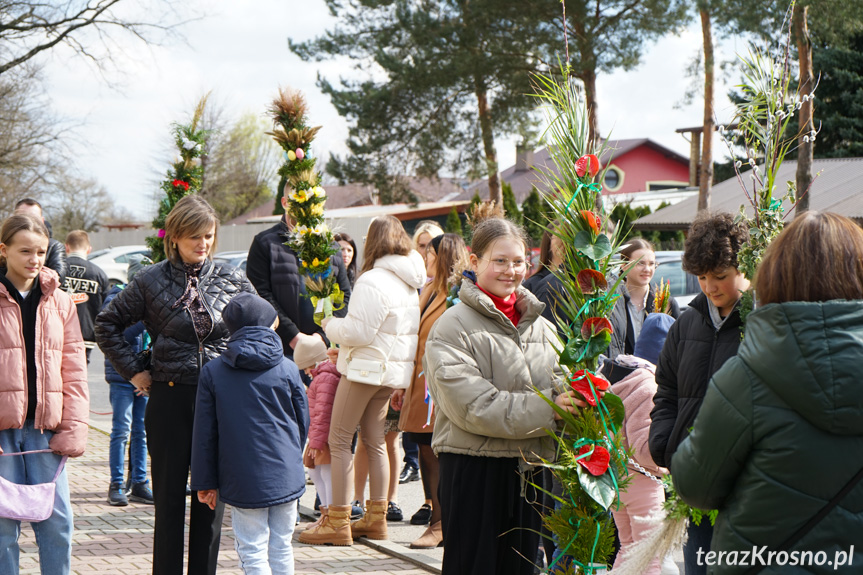 Parada palm w Zręcinie