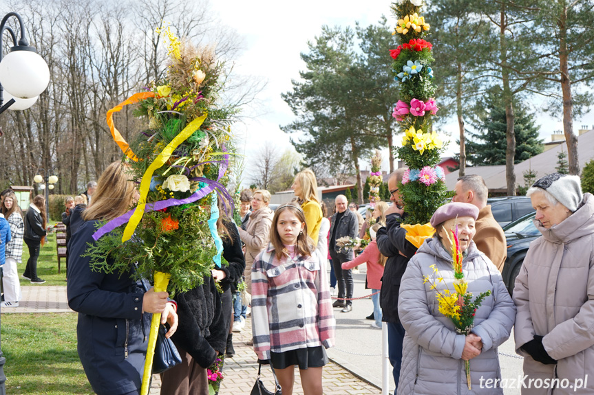 Parada palm w Zręcinie