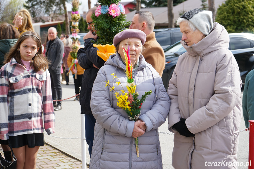 Parada palm w Zręcinie