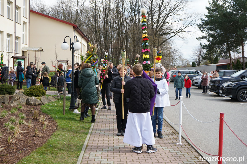 Parada palm w Zręcinie