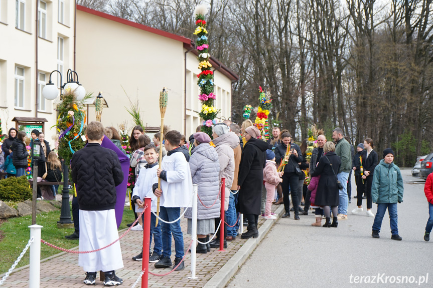 Parada palm w Zręcinie