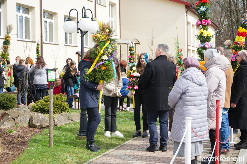 Parada palm w Zręcinie