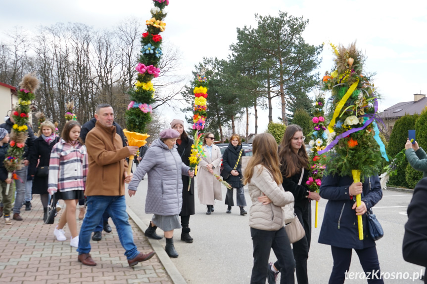 Parada palm w Zręcinie