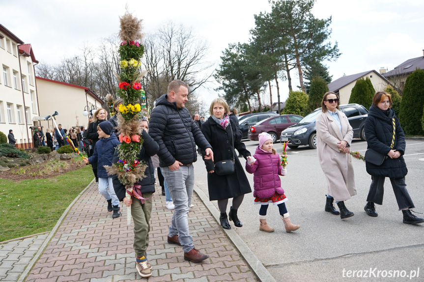 Parada palm w Zręcinie