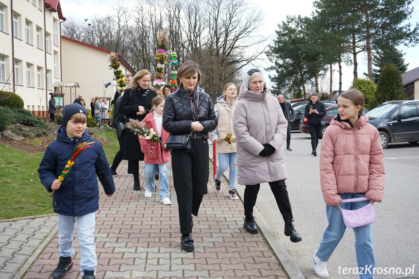 Parada palm w Zręcinie