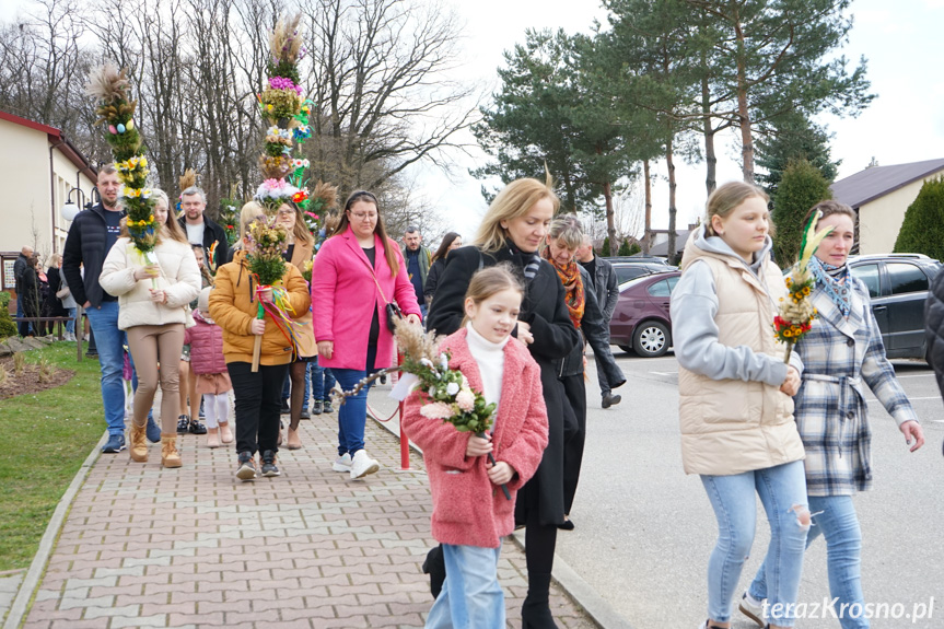 Parada palm w Zręcinie