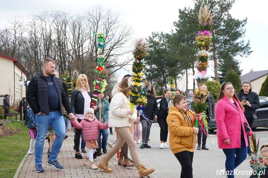 Parada palm w Zręcinie