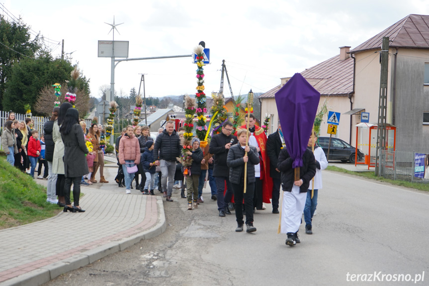 Parada palm w Zręcinie