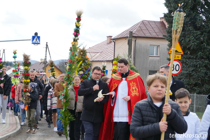 Parada palm w Zręcinie