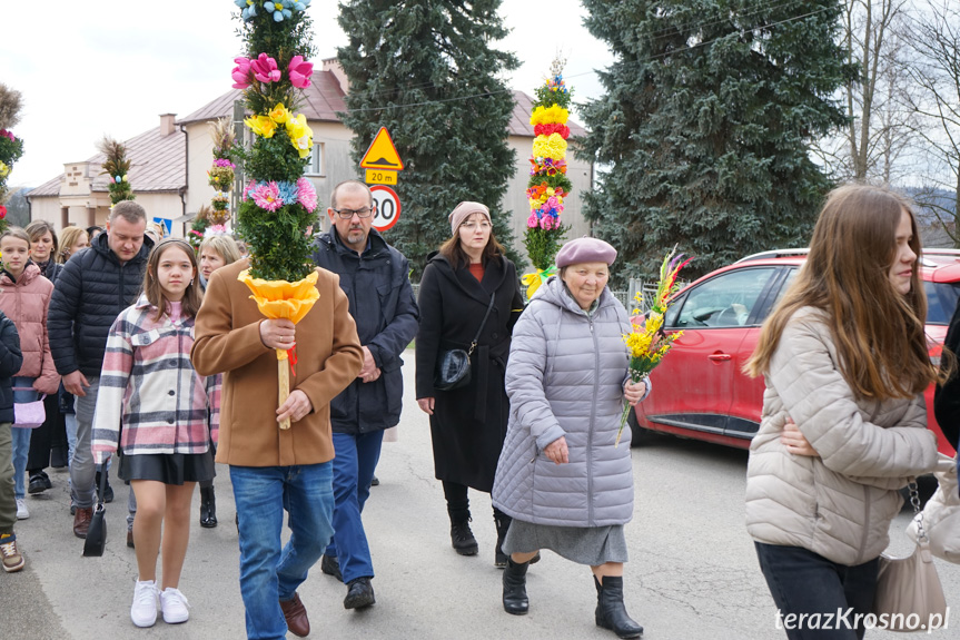 Parada palm w Zręcinie