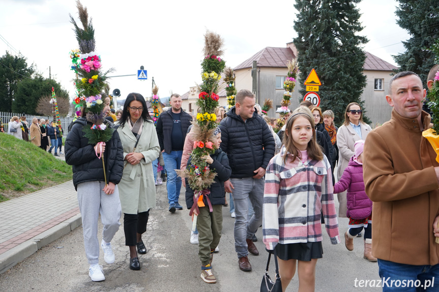 Parada palm w Zręcinie