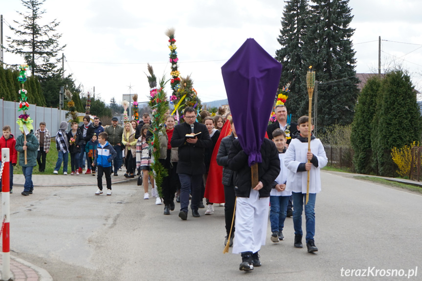 Parada palm w Zręcinie