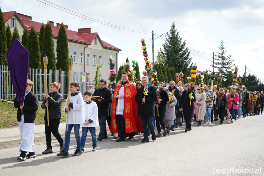 Parada palm w Zręcinie