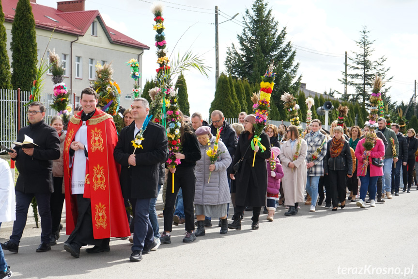 Parada palm w Zręcinie