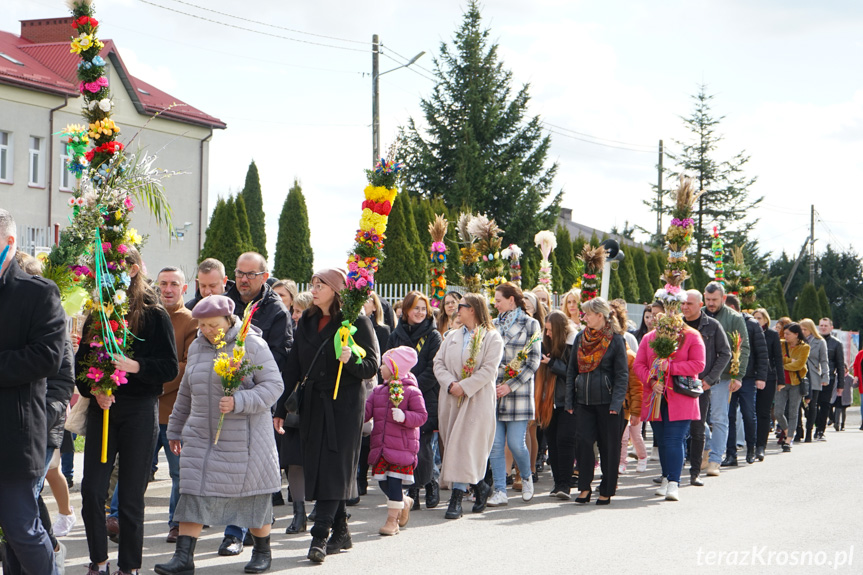 Parada palm w Zręcinie