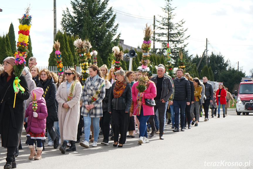 Parada palm w Zręcinie