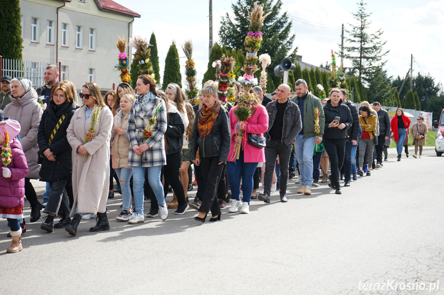 Parada palm w Zręcinie