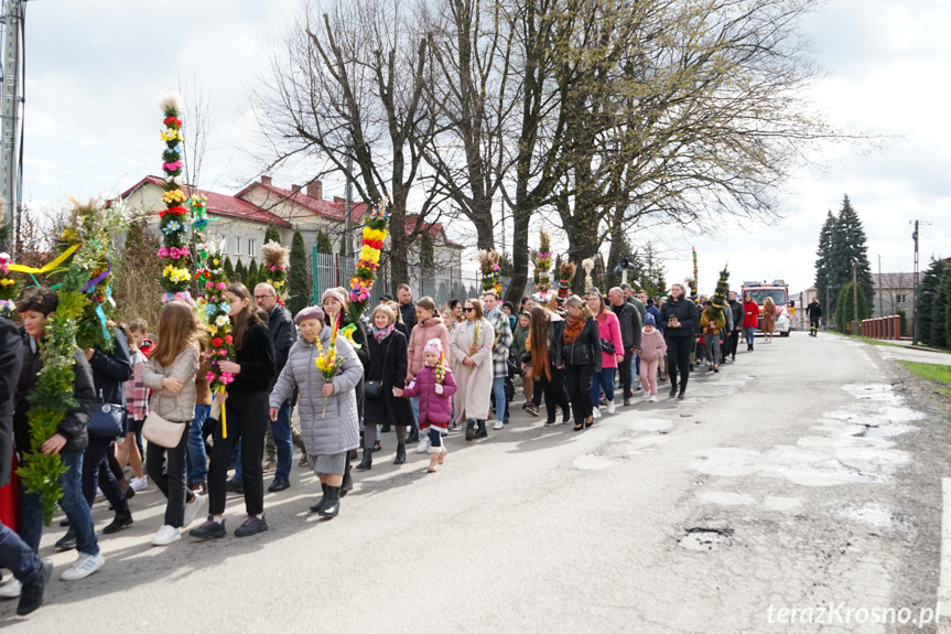 Parada palm w Zręcinie