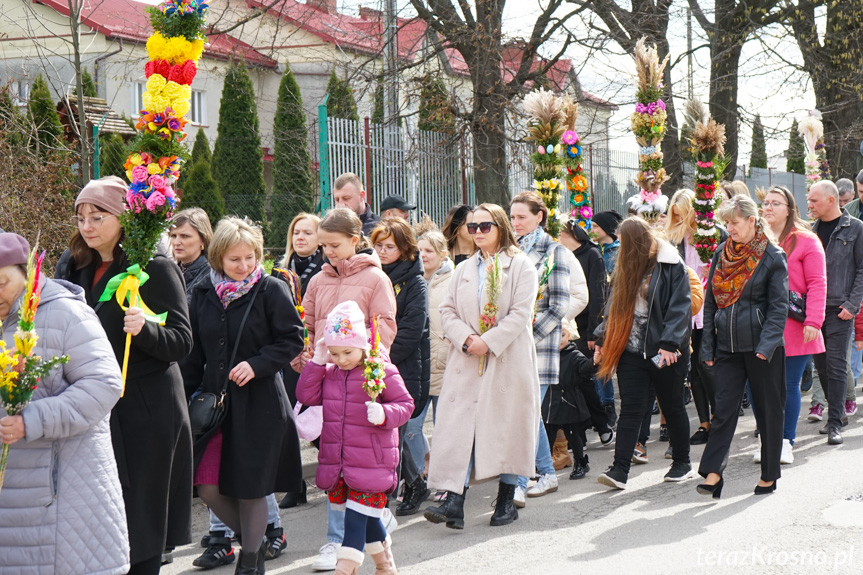 Parada palm w Zręcinie