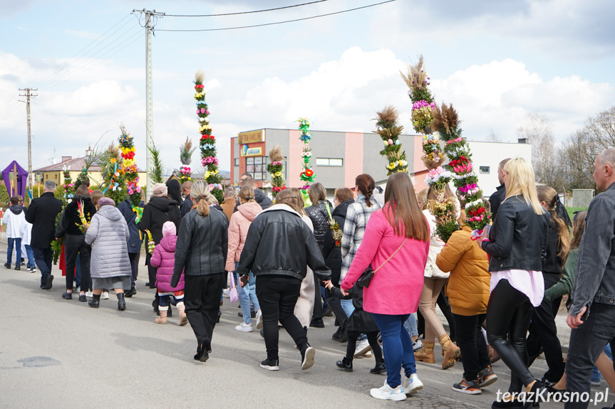 Parada palm w Zręcinie