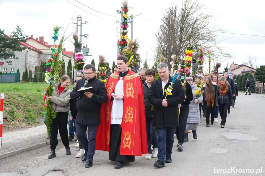 Parada palm w Zręcinie