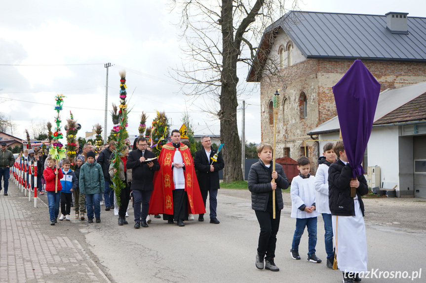 Parada palm w Zręcinie