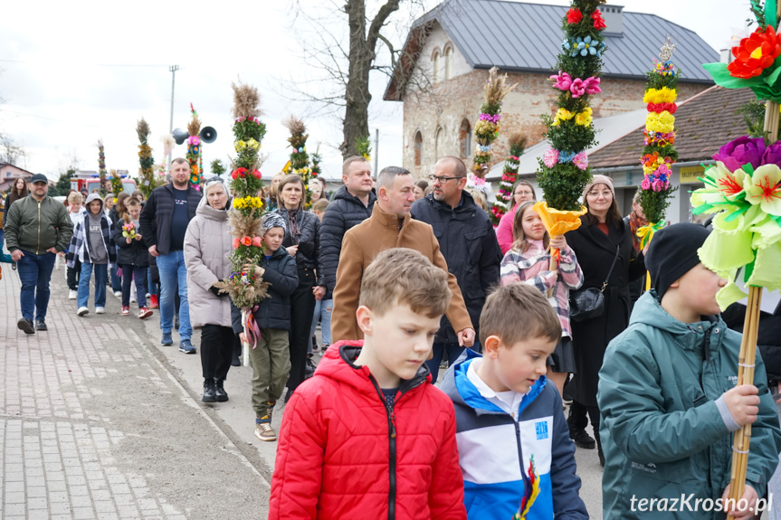 Parada palm w Zręcinie