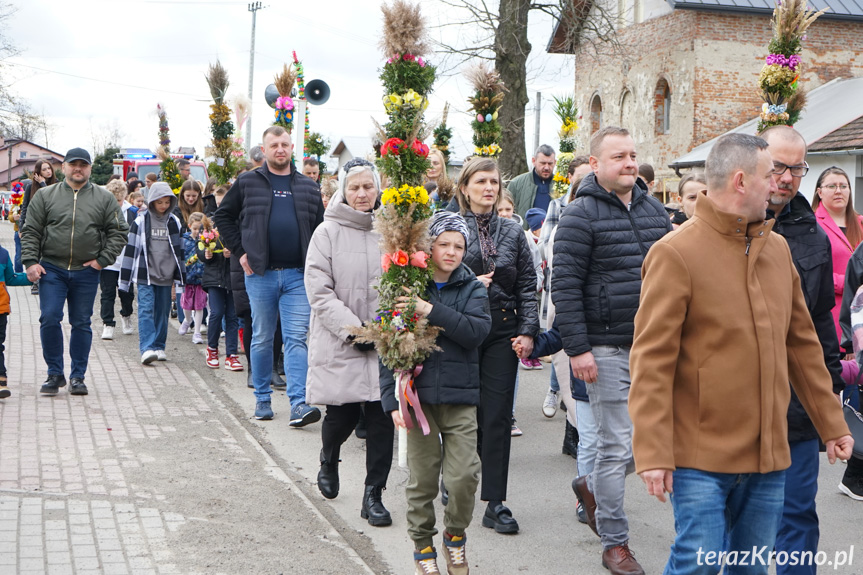 Parada palm w Zręcinie