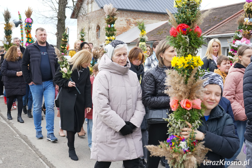 Parada palm w Zręcinie