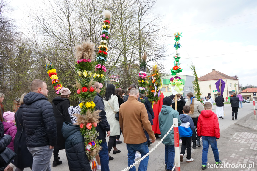 Parada palm w Zręcinie