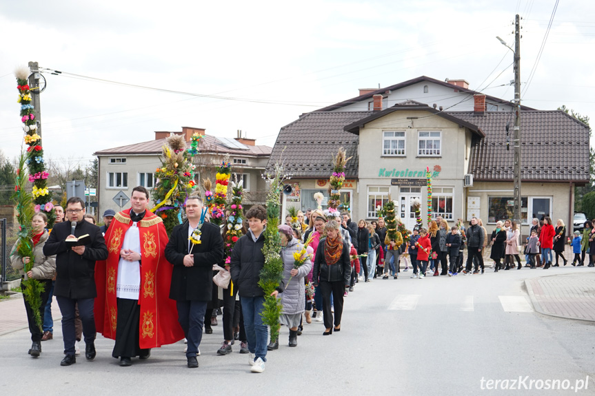 Parada palm w Zręcinie