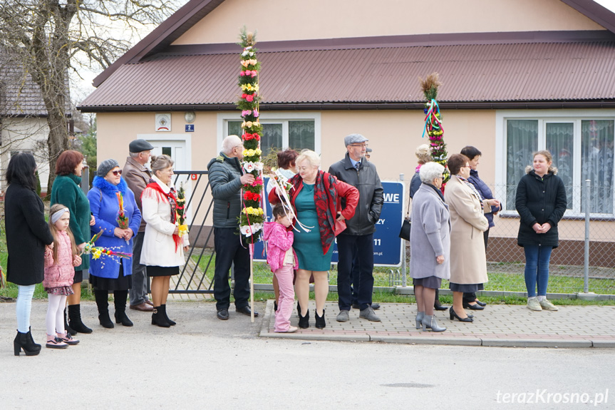 Parada palm w Zręcinie