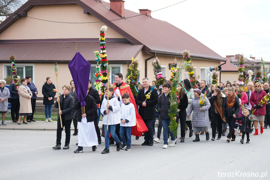 Parada palm w Zręcinie