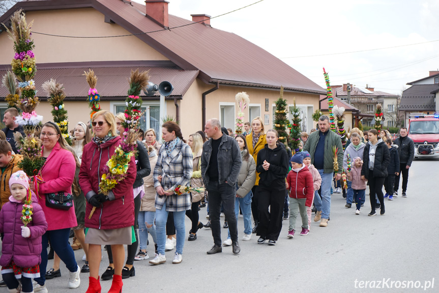 Parada palm w Zręcinie