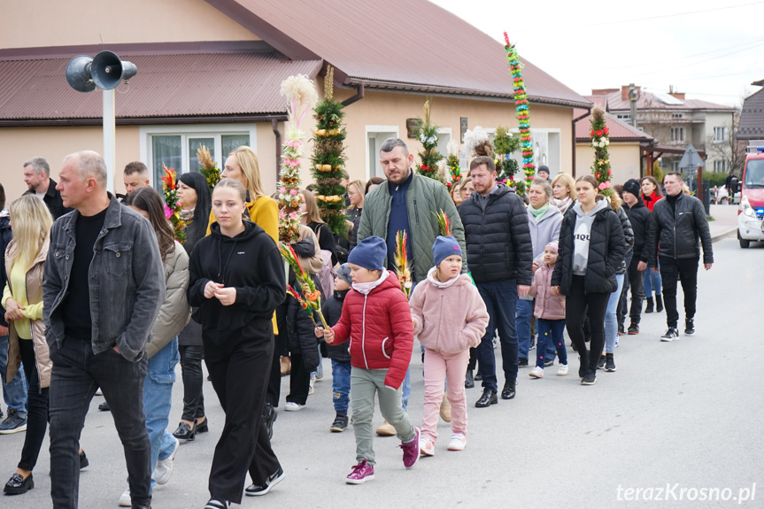 Parada palm w Zręcinie