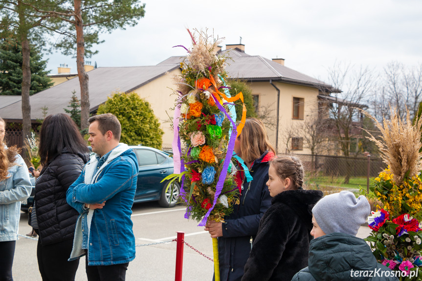 Parada palm w Zręcinie