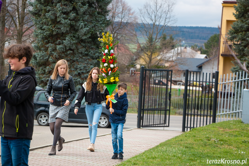 Parada palm w Zręcinie