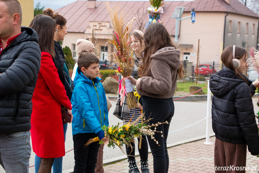 Parada palm w Zręcinie