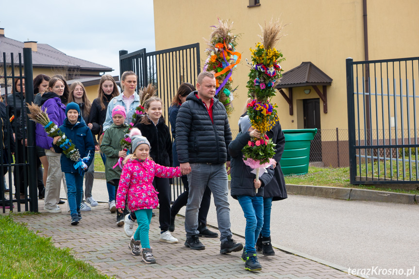 Parada palm w Zręcinie