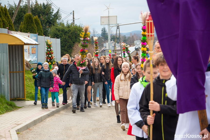 Parada palm w Zręcinie