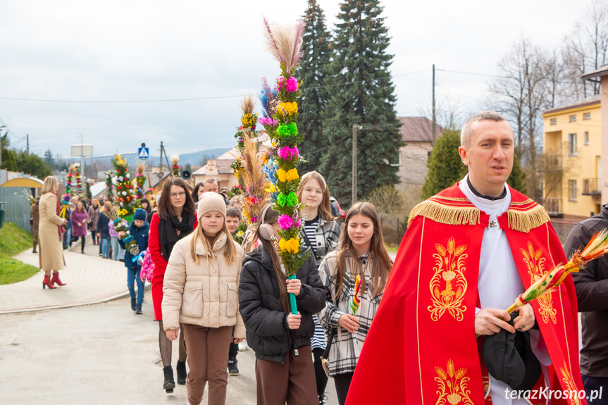 Parada palm w Zręcinie