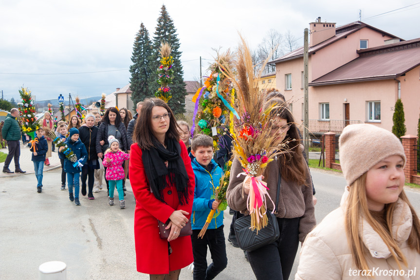 Parada palm w Zręcinie