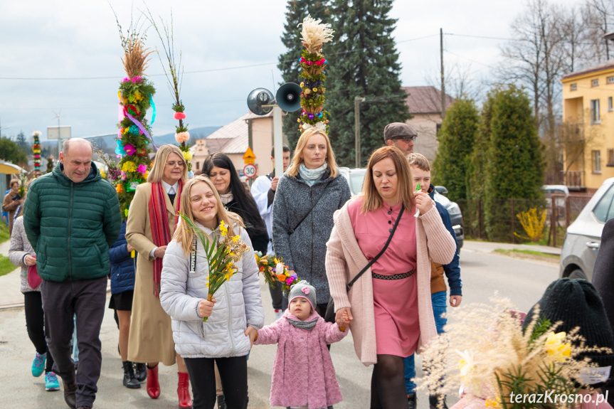 Parada palm w Zręcinie