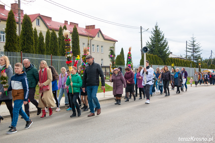 Parada palm w Zręcinie