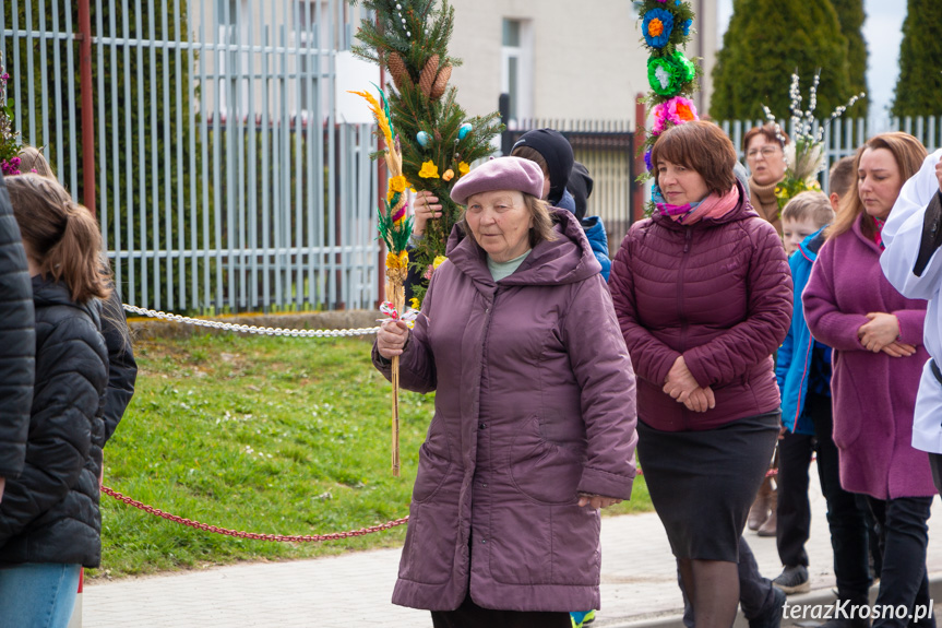 Parada palm w Zręcinie