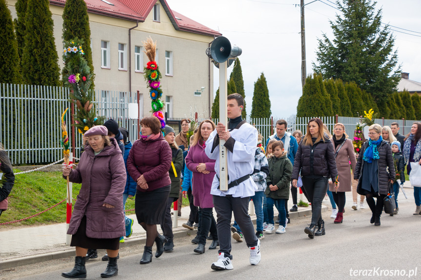 Parada palm w Zręcinie